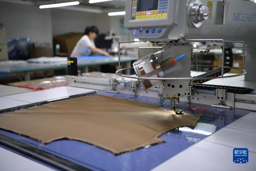 河北南宮 打造羊絨服裝服飾產(chǎn)業(yè)集群助力經(jīng)濟(jì)發(fā)展